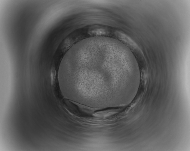 X0000098080760200804110942
