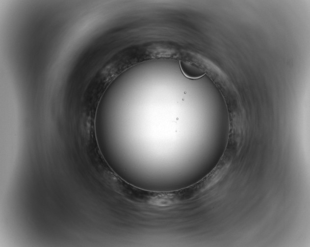 X0000098080761200804110942