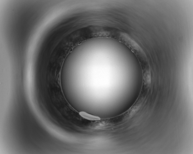 X0000098080764200804110942