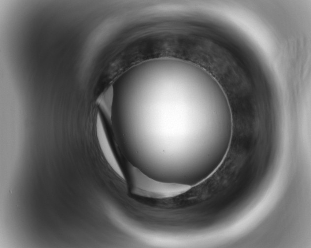 X0000098080766200804110942