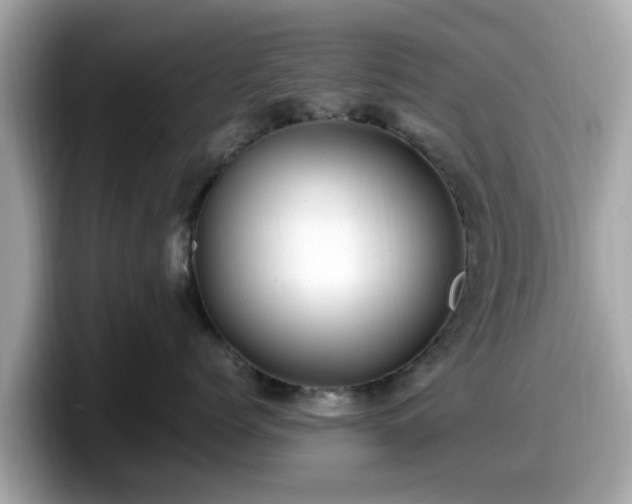 X0000098080768200804110942