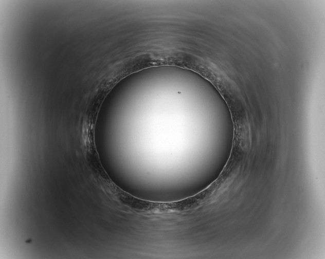 X0000098080770200804110942