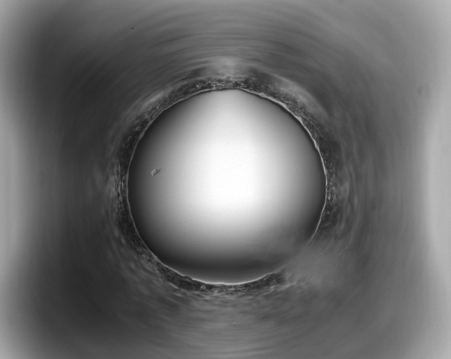 X0000098080773200804110942