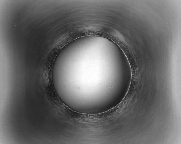 X0000098080774200804110942
