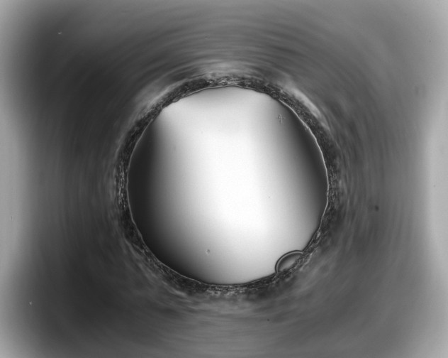 X0000098080775200804110942