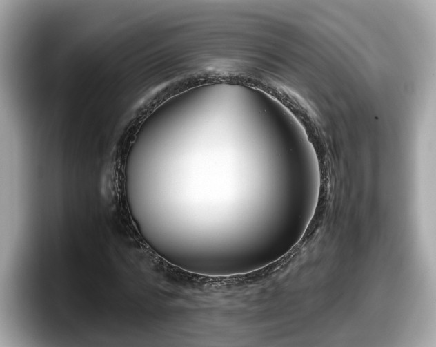 X0000098080776200804110942