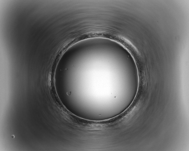 X0000098080777200804110942