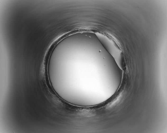 X0000098080779200804110942