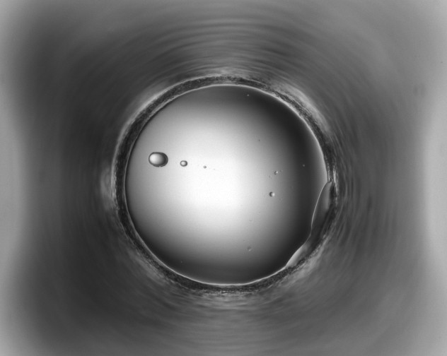 X0000098080780200804110942
