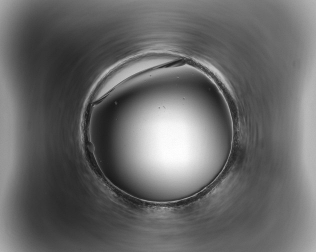X0000098080783200804110942