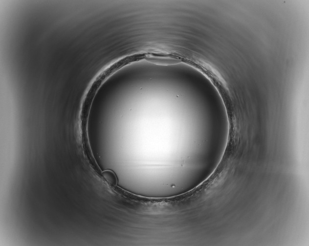 X0000098080784200804110942