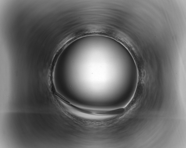 X0000098080786200804110942