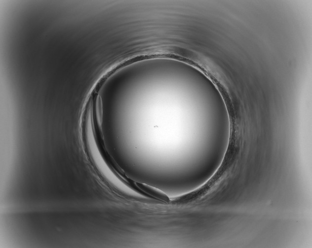 X0000098080789200804110941