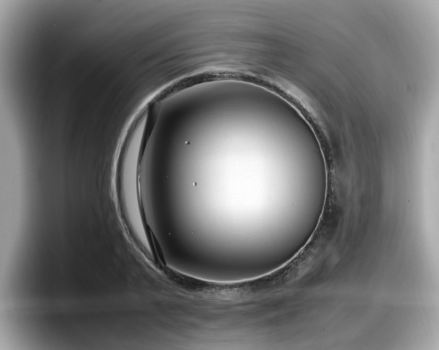 X0000098080791200804110941