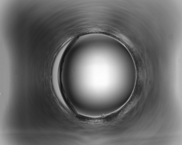 X0000098080793200804110941
