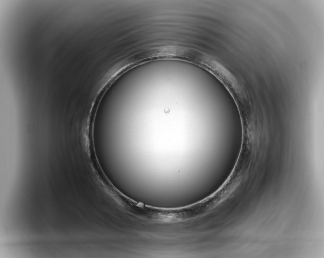 X0000098080794200804110941