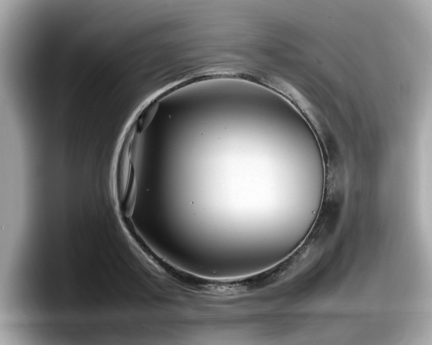 X0000098080795200804110941