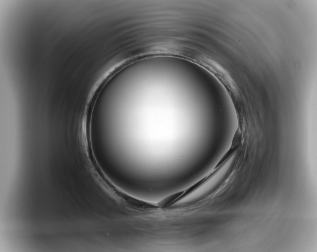 X0000098080796200804110941