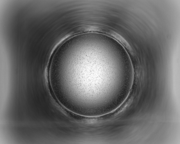 X0000098080798200804110941