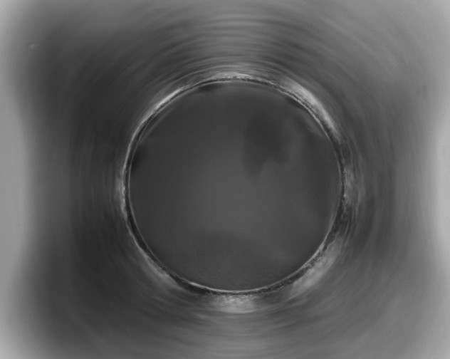 X0000098080802200804110941