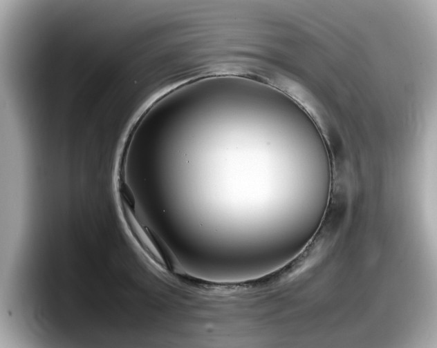 X0000098080803200804110941