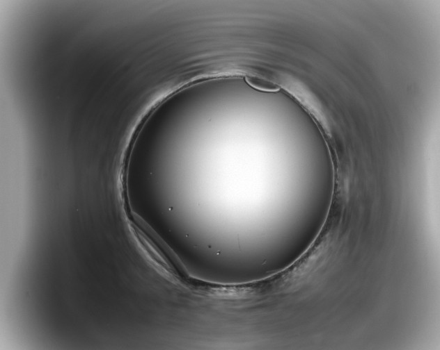 X0000098080805200804110941