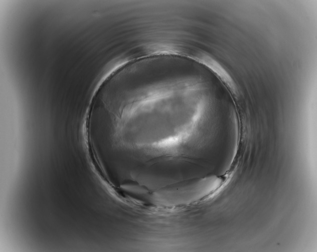 X0000098080806200804110941