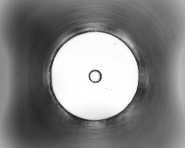 X0000098080807200804110941