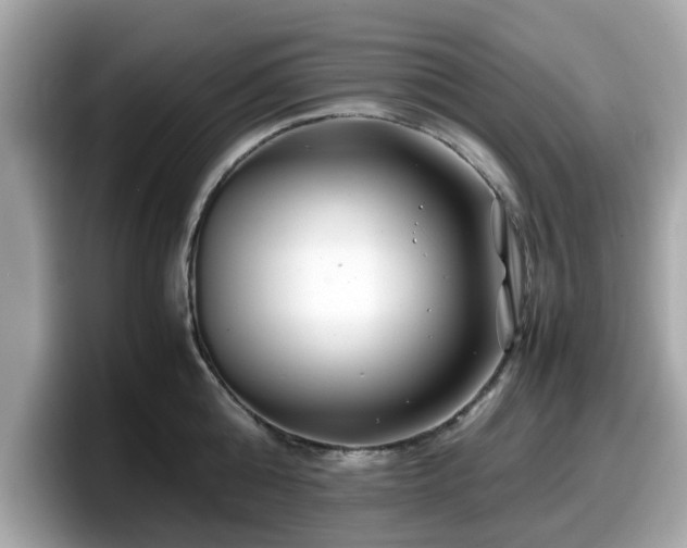 X0000098080808200804110941