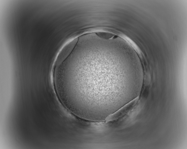 X0000098080813200804110941