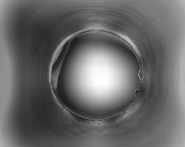 X0000098080815200804110941