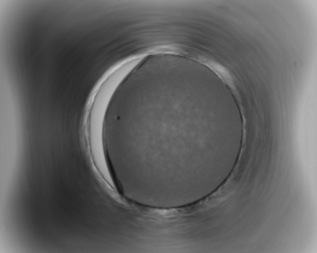 X0000098080816200804110941