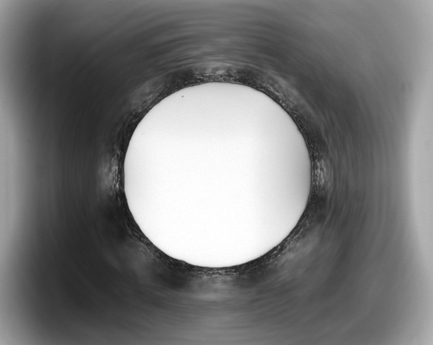 X0000098080820200804110941