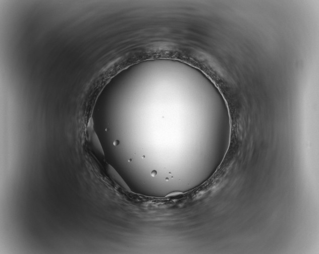 X0000098080821200804110941