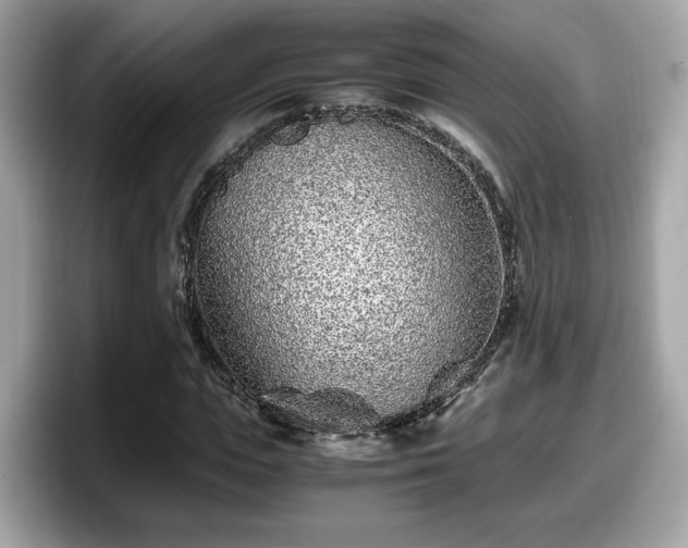 X0000098080823200804110941