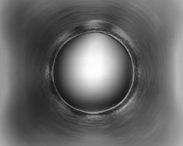 X0000098080825200804110941