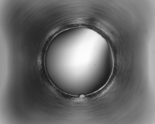 X0000098080826200804110941
