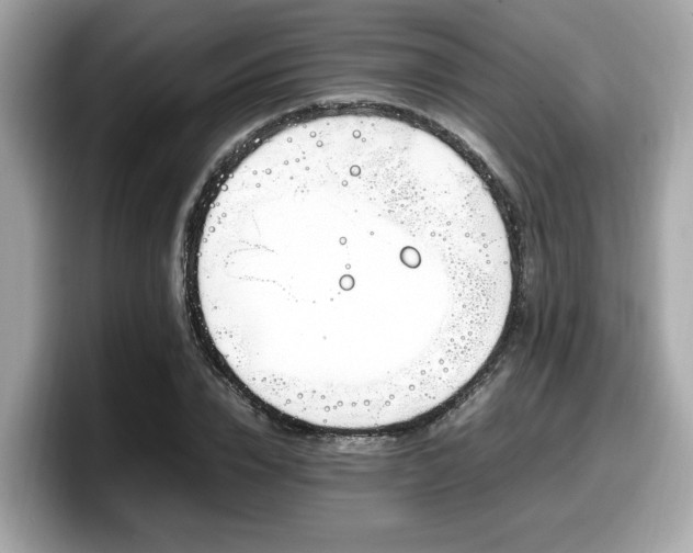X0000098080832200804110941