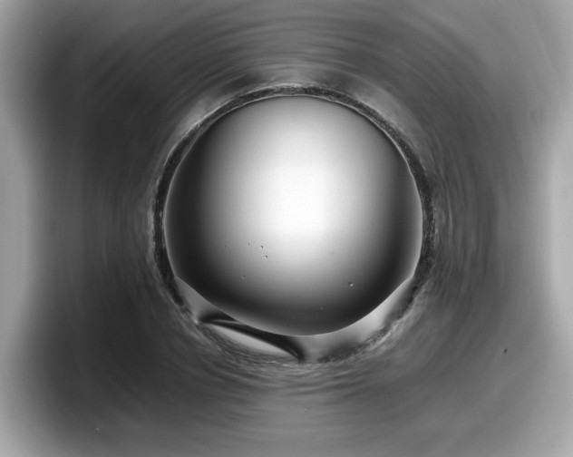 X0000098080834200804110941