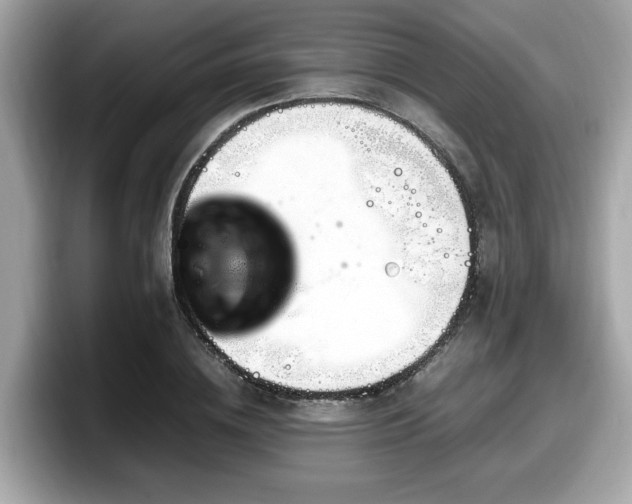 X0000098080836200804110941