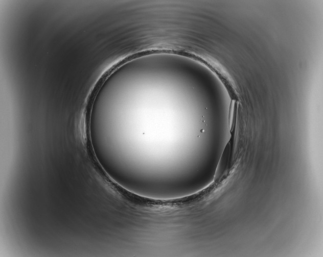 X0000098080838200804110941