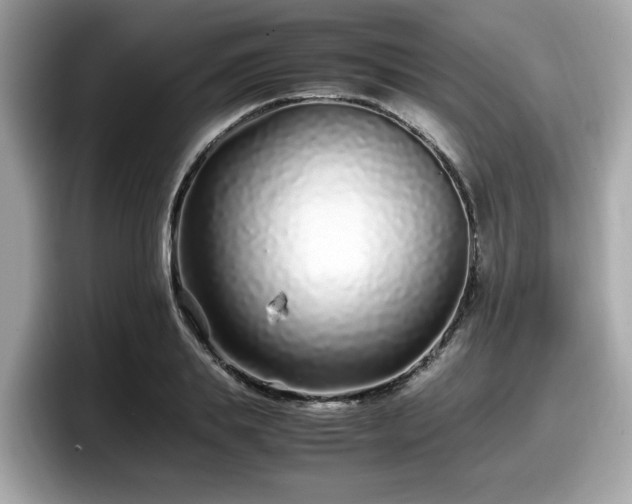 X0000098080839200804110941