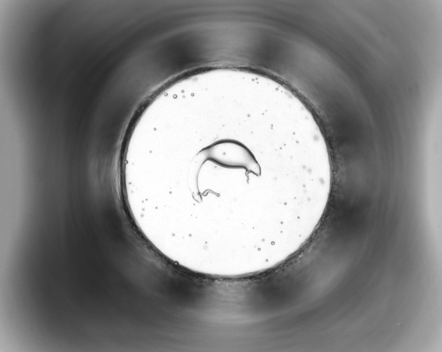 X0000098080840200804110941