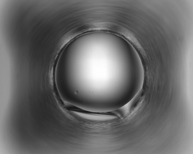 X0000098080842200804110941