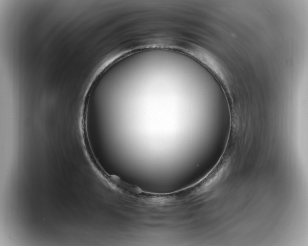 X0000098080847200804110941