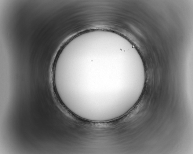 X0000098080848200804110941
