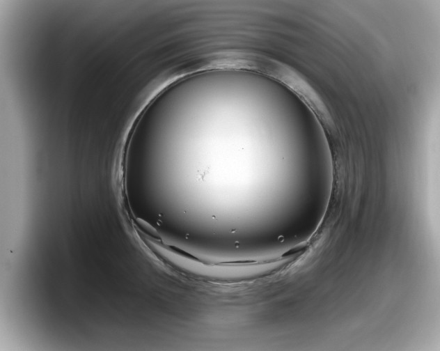 X0000098080852200804110941