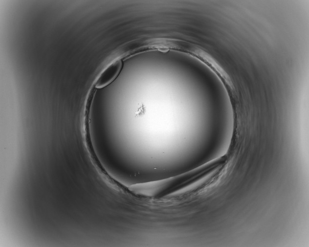 X0000098080853200804110941