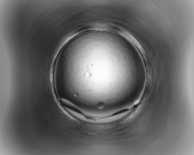 X0000098080855200804110941