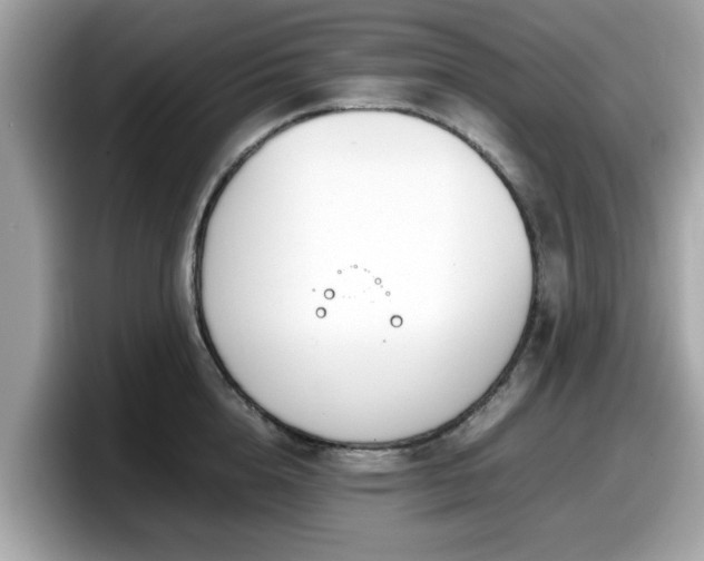 X0000098080856200804110941
